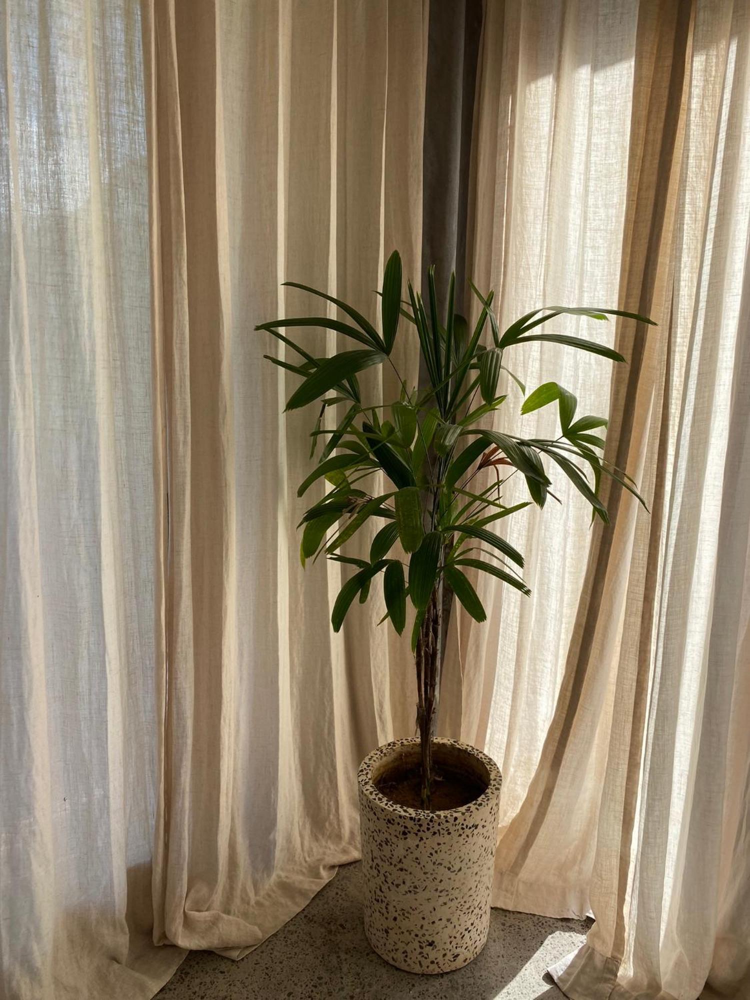 Villa Fig - Private 2 Bedroom Villa 캉구 외부 사진